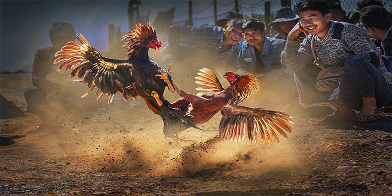 hu bet xổ số bữa nay
