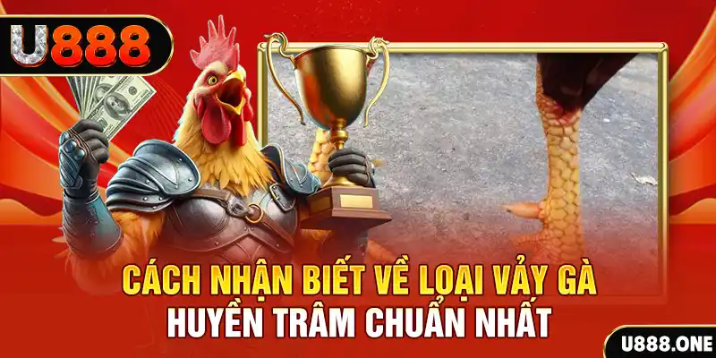 hu bet đăng nhập nổ hũ số 1