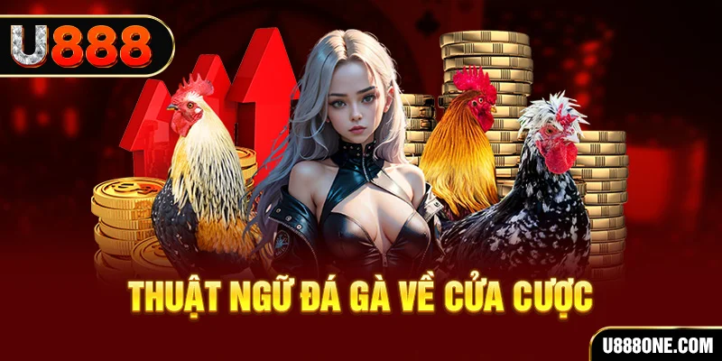 hu bet hơn cả bạn bè