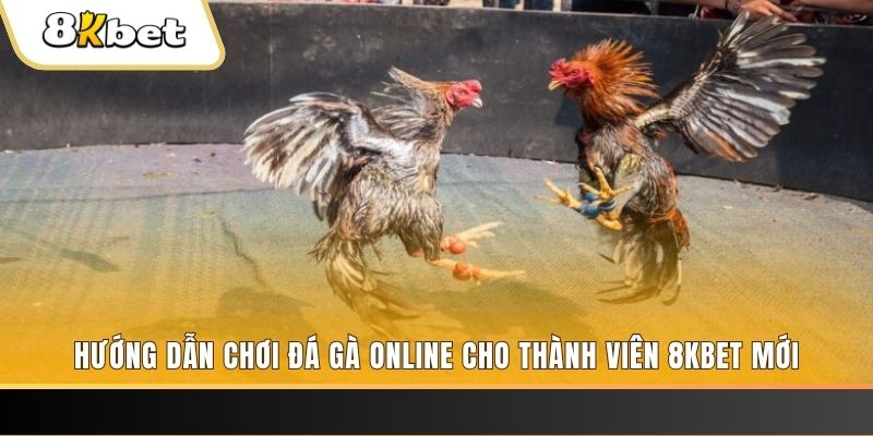 hu bet JILI Game Bài 3d