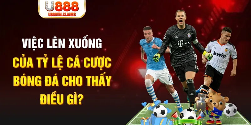 hu bet xổ số tiền giang