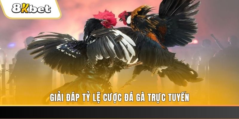 hu bet ga choi cau thanh