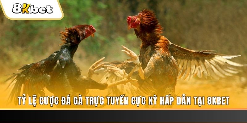 hu bet đăng nhập nổ hũ trực tuyến