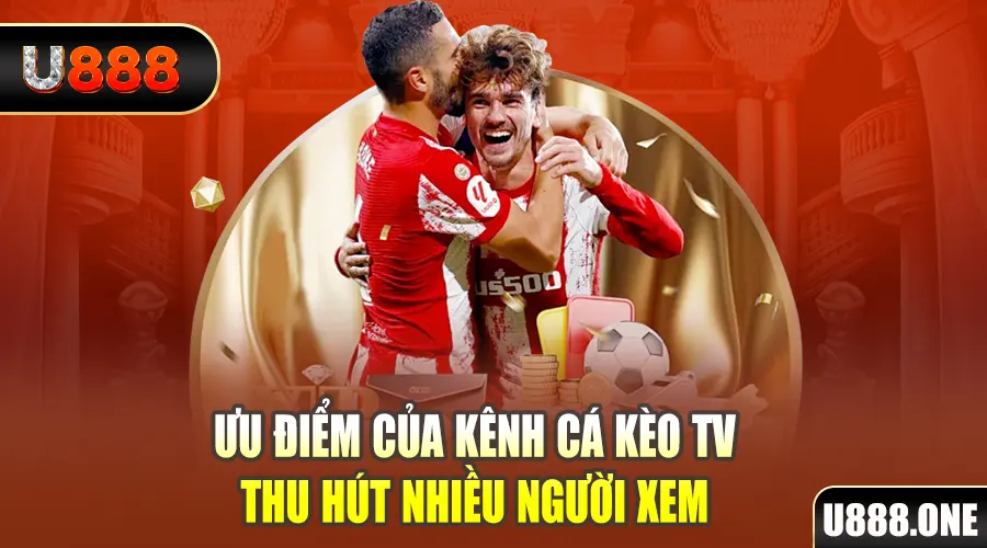 hu bet gà chọi cu cần