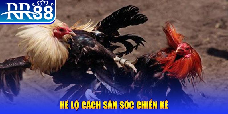 hu bet xổ số miền trung thứ tư