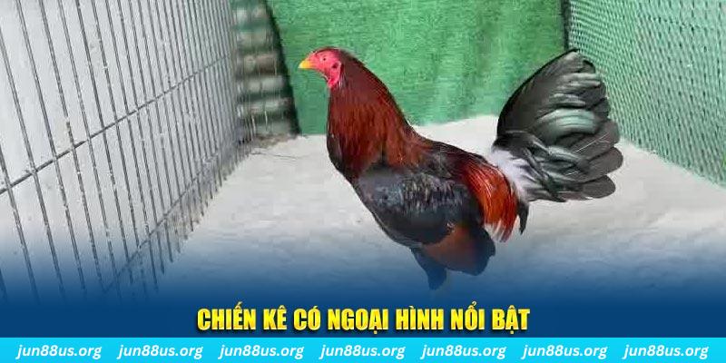 hu bet game bắn cá