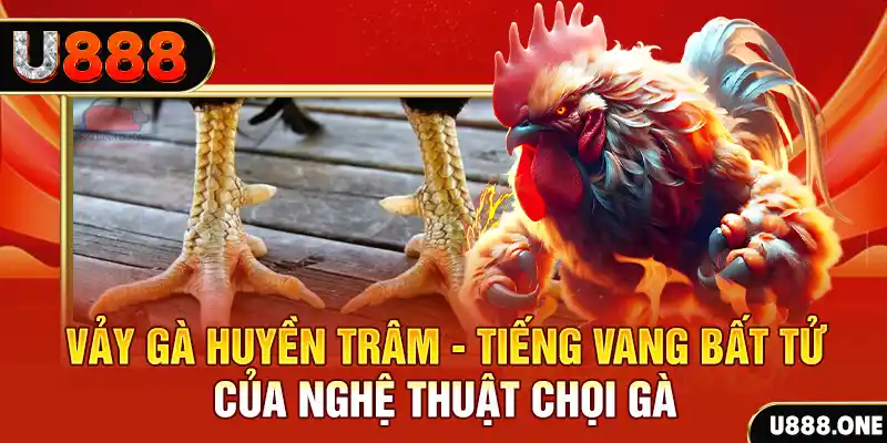 hu bet đăng nhập roulette trực tuyến