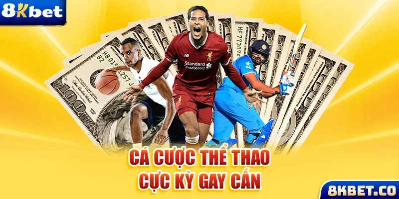 hu bet xem đá gà trực tiếp